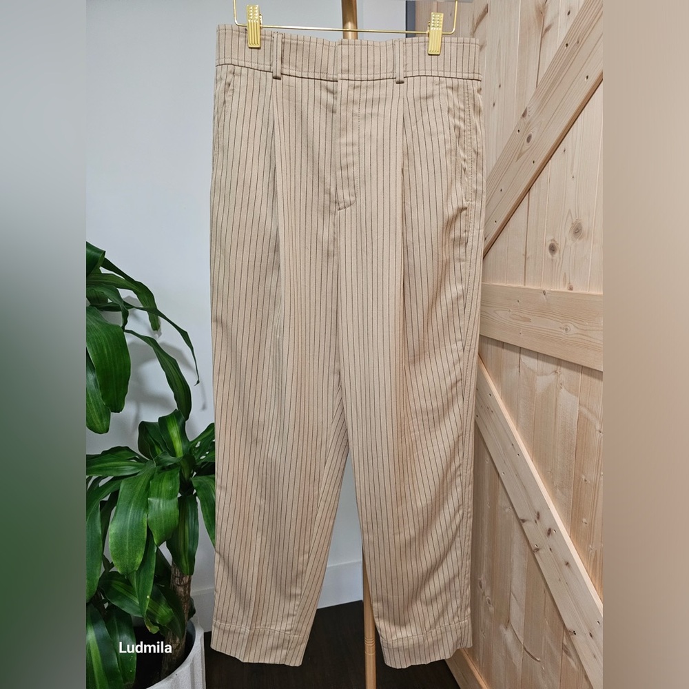 EVERLANE Size 6‎ Women’s Beige Pinstripe Pleated Pants - Picture 2 of 6